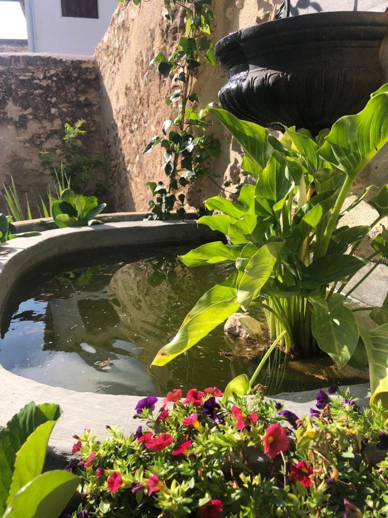 Ca Margalef - Casa Rural Con Encanto Ginestar Eksteriør bilde